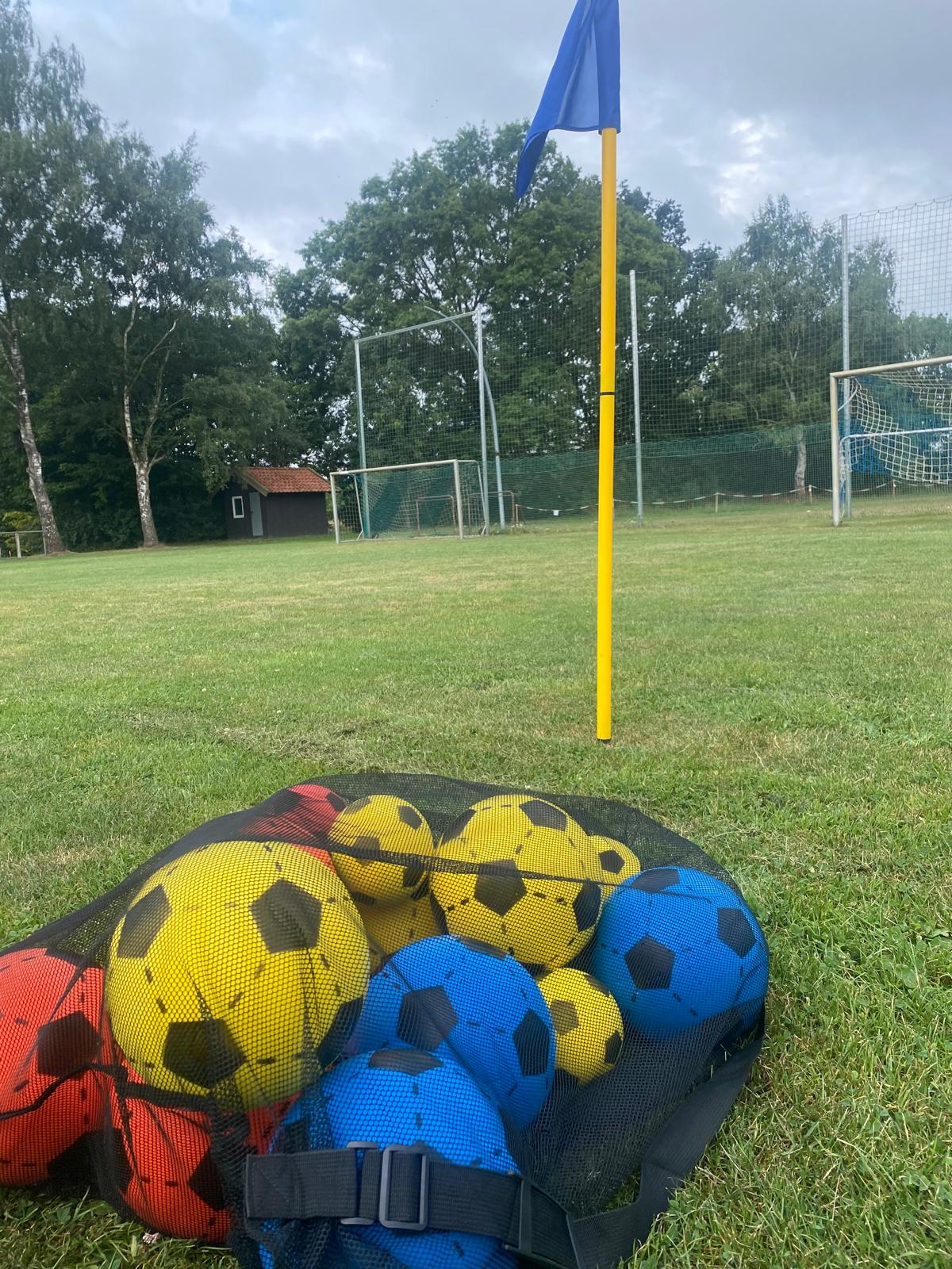 f9016615 d124 488f 8641 c38bb203d6b6